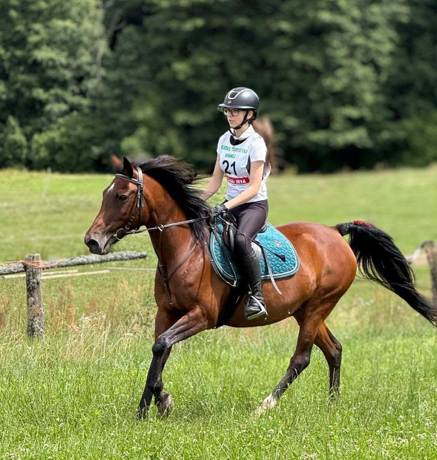 TREC PTTK i szkolenia jeździeckie