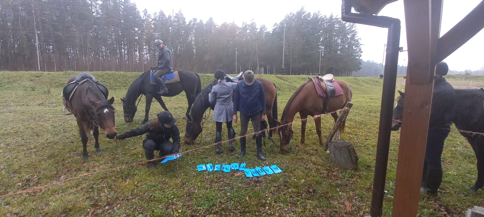 Jeździeckie Święto Niepodległości w Pajtuńskim Młynie - zdjęcie 9